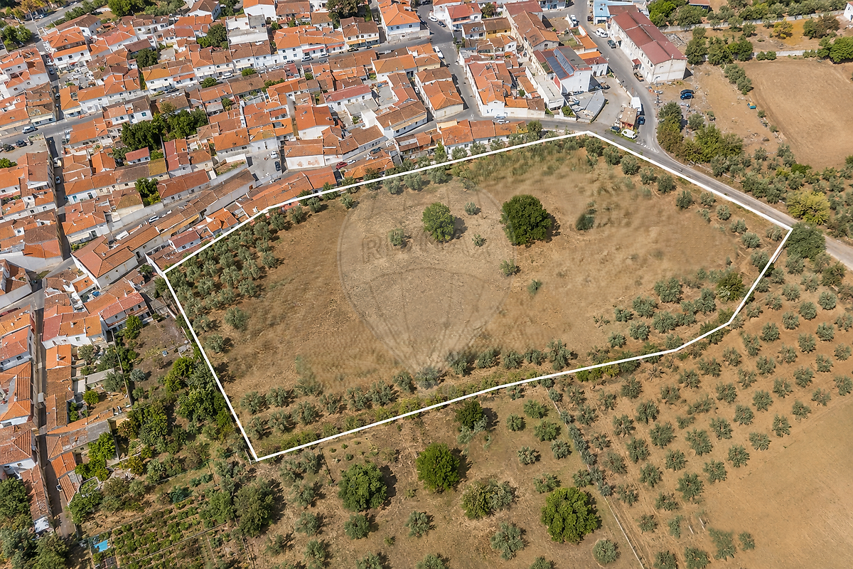 Terreno - Terrugem e Vila Boim, Elvas, Portalegre