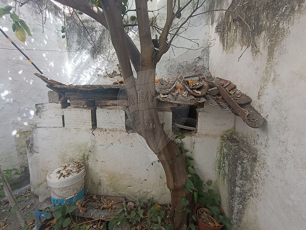 Moradia T3 à venda em Nossa Senhora da Expectação, Campo Maior — foto 25