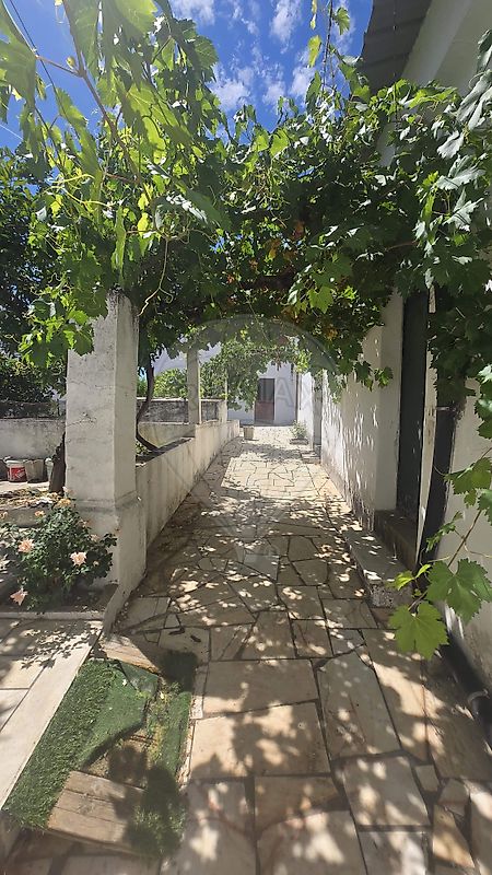 Moradia T3 à venda em Nossa Senhora da Graça dos degolados, Campo Maior — foto 19