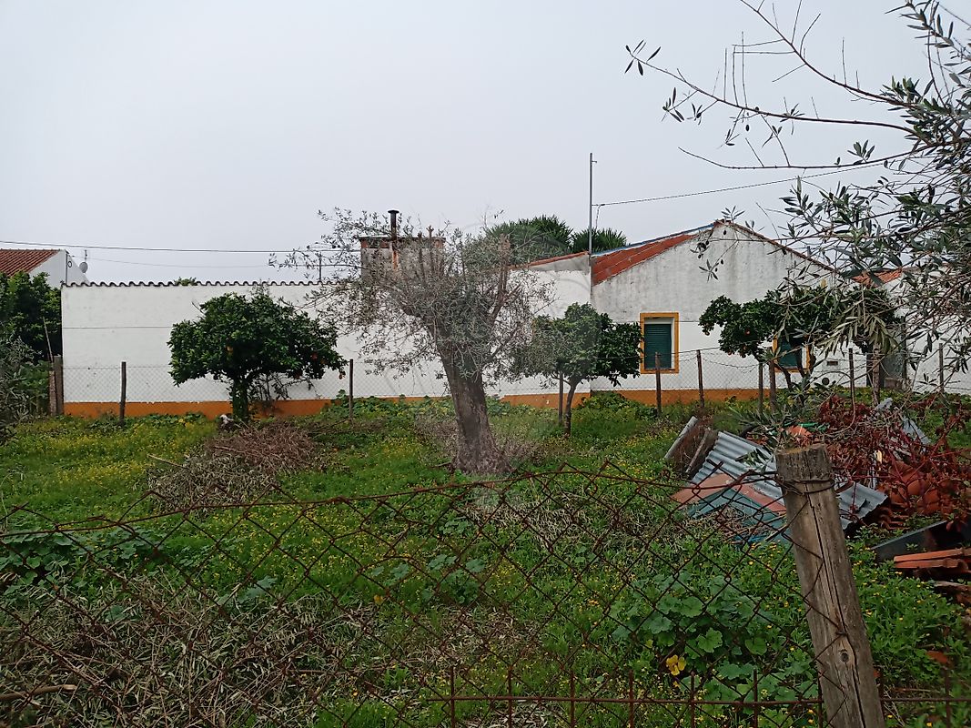 Moradia T1 à venda em Benavila e Valongo, Avis — foto 25