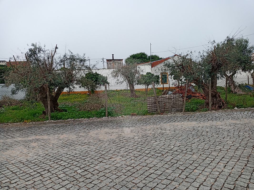 Moradia T1 à venda em Benavila e Valongo, Avis — foto 20