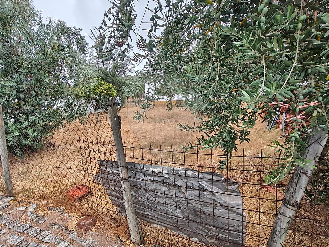 Moradia T1 à venda em Benavila e Valongo, Avis — foto 14