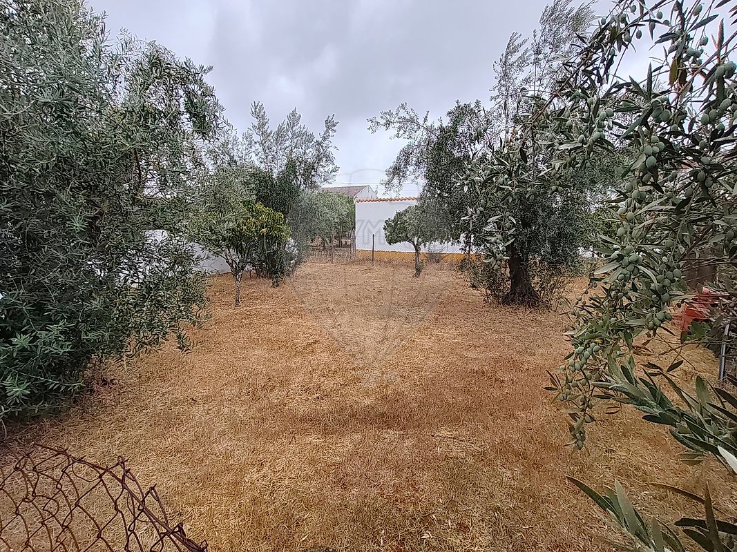 Moradia T1 à venda em Benavila e Valongo, Avis — foto 12