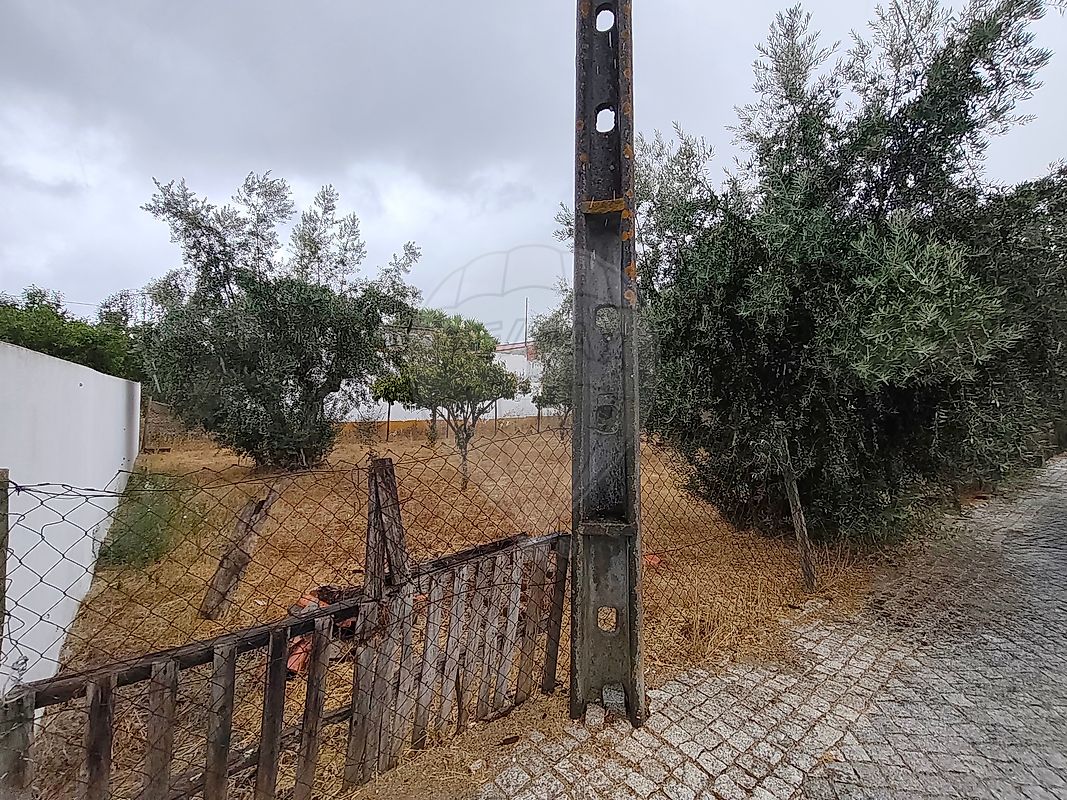 Moradia T1 à venda em Benavila e Valongo, Avis — foto 13
