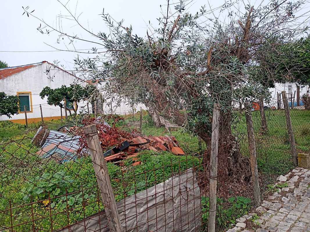 Moradia T1 à venda em Benavila e Valongo, Avis — foto 26