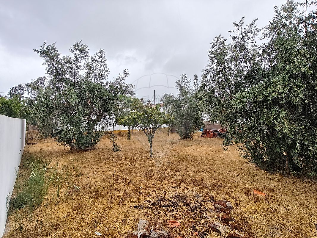 Moradia T1 à venda em Benavila e Valongo, Avis — foto 11