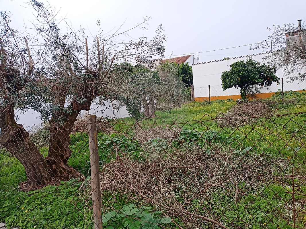 Moradia T1 à venda em Benavila e Valongo, Avis — foto 24