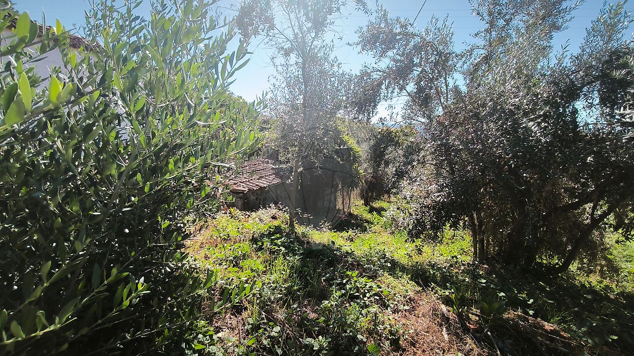 Moradia T2 à venda em Portela do Fojo-Machio, Pampilhosa da Serra — foto 14