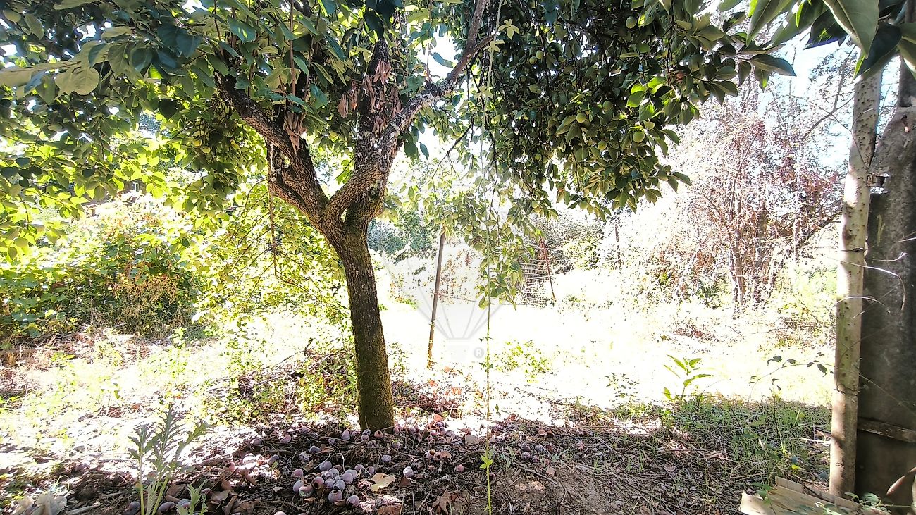 Moradia T2 à venda em Portela do Fojo-Machio, Pampilhosa da Serra — foto 11