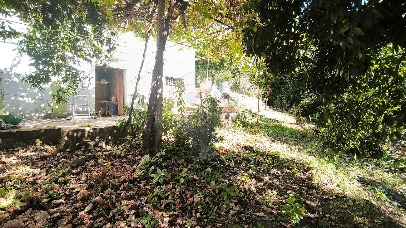 Moradia T2 à venda em Portela do Fojo-Machio, Pampilhosa da Serra — foto 12