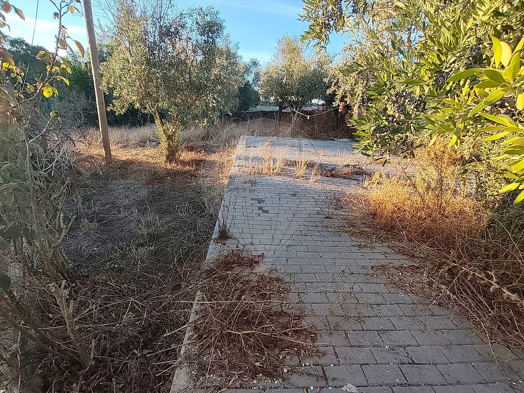 Moradia T3 à venda em Orada, Borba — foto 39