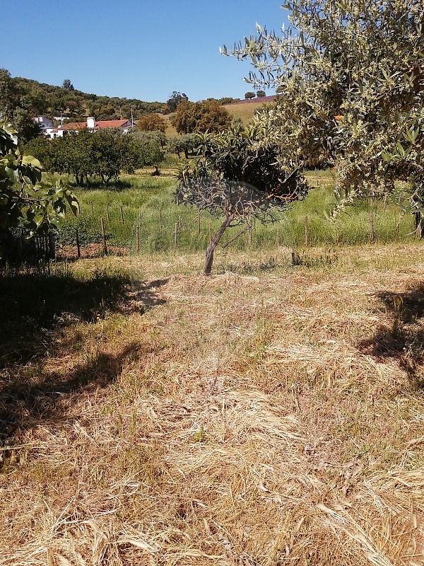 Moradia T3 à venda em Orada, Borba — foto 15
