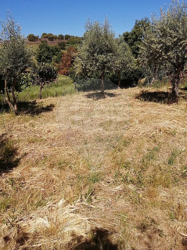 Moradia T3 à venda em Orada, Borba — foto 8
