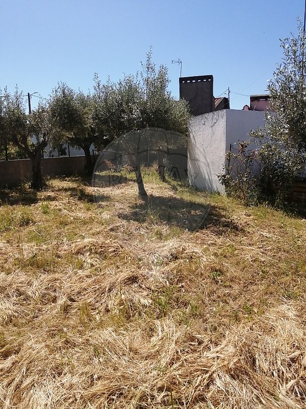 Moradia T3 à venda em Orada, Borba — foto 11