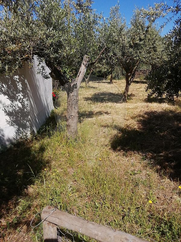 Moradia T3 à venda em Orada, Borba — foto 14