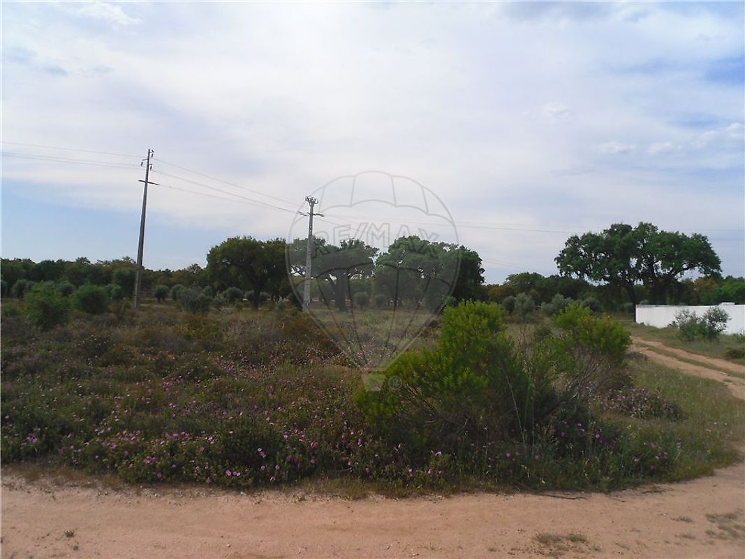 Land for sale in Ponte de Sor, Portugal — €105,000