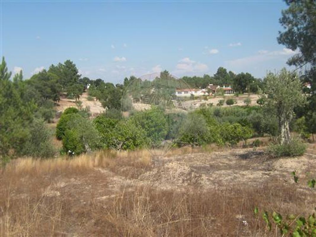 Terreno à venda em Montargil