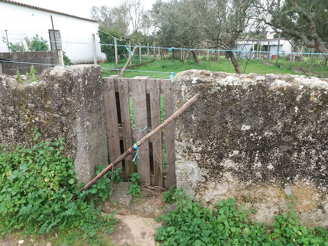 Terreno - Tramagal, Abrantes, Santarém