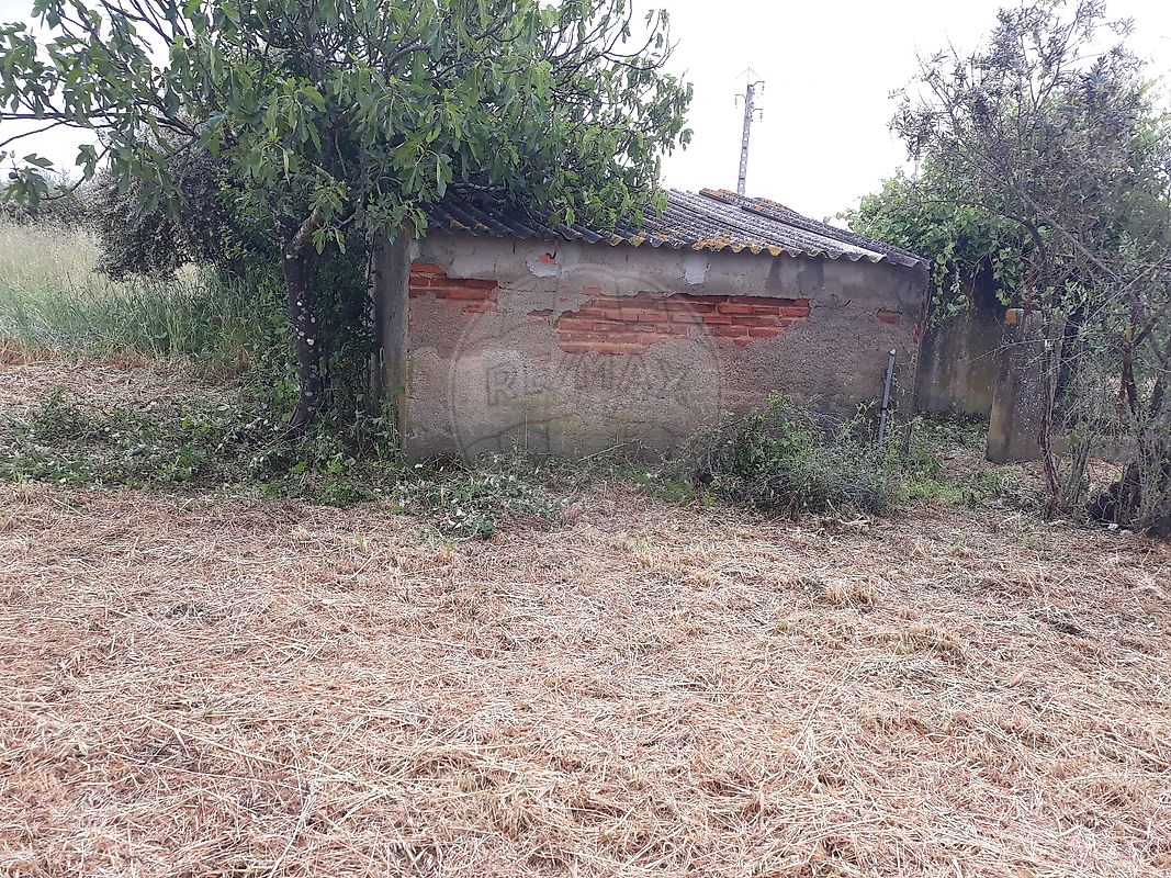 Terreno  à venda em Pego