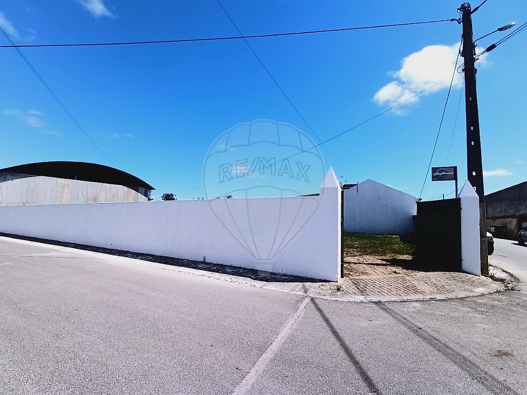 Land for sale in Ponte de Sor, Portugal — €120,000