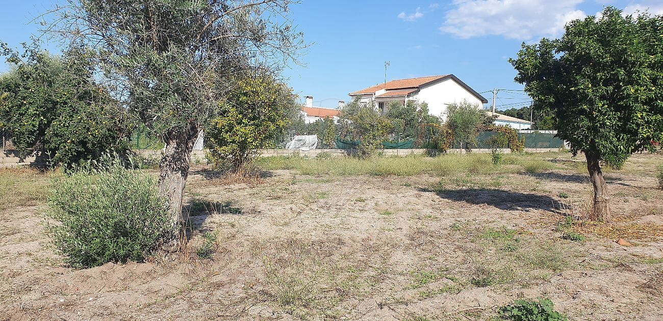Moradia T2 à venda em Ponte de Sor, Tramaga e Vale de Açor, Ponte de Sor — foto 19