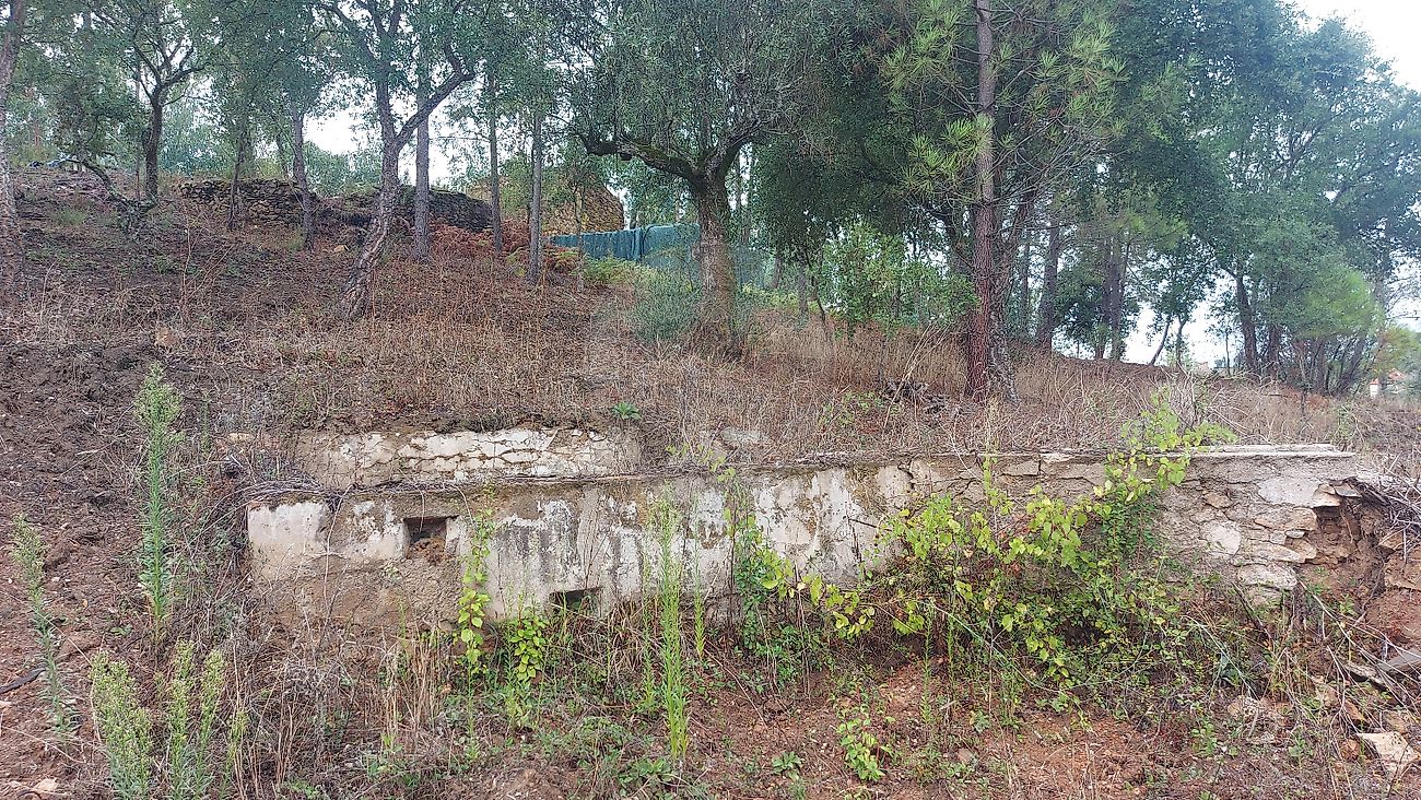 Quinta à venda em Abrantes