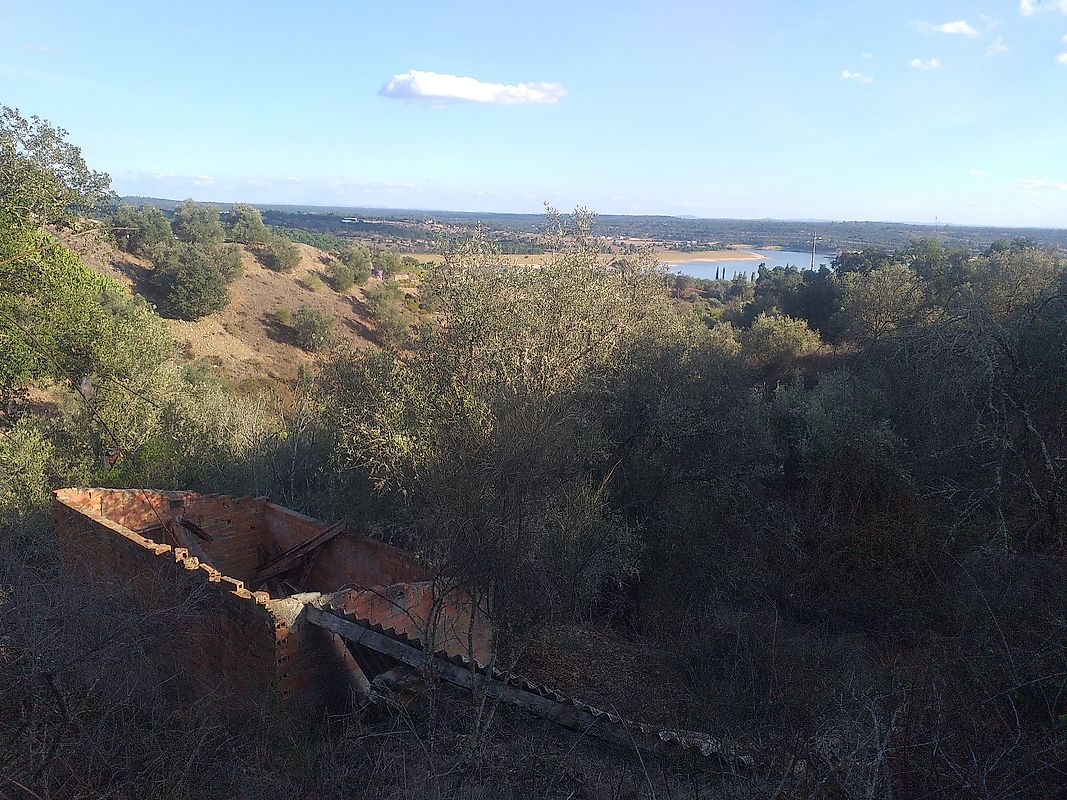 Terreno à venda em Ponte de Sor