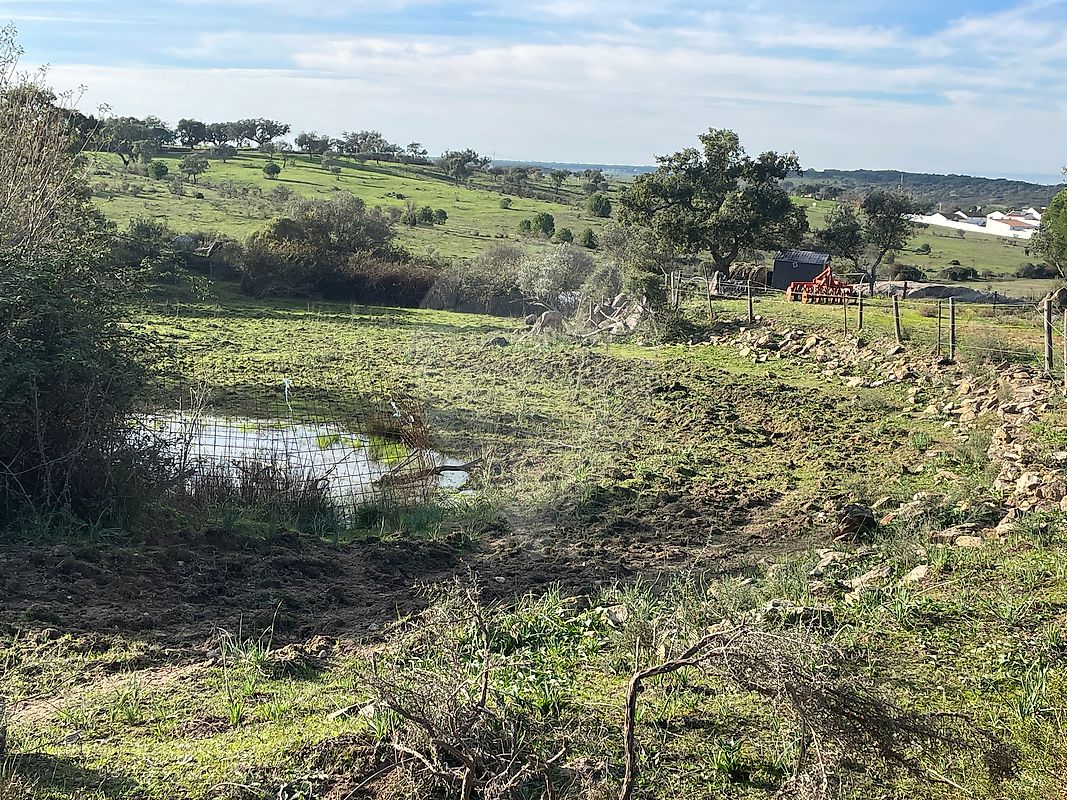 Terreno  à venda em Alter do Chão