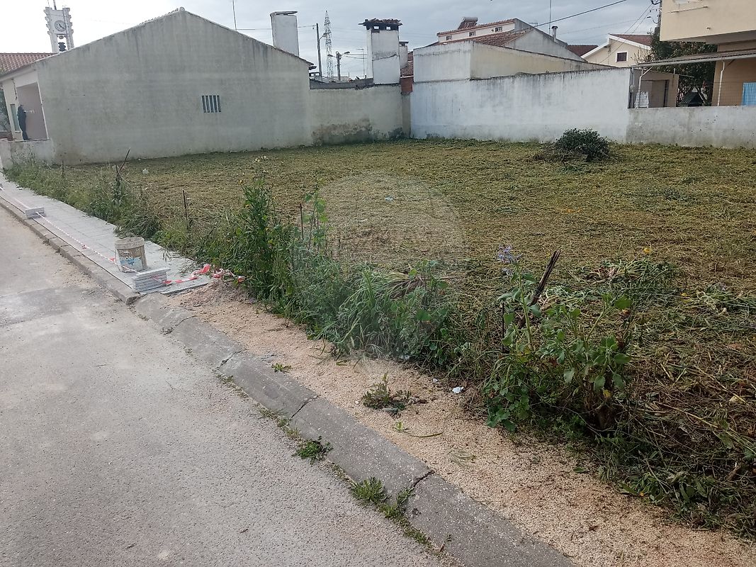 Terreno em Abrantes