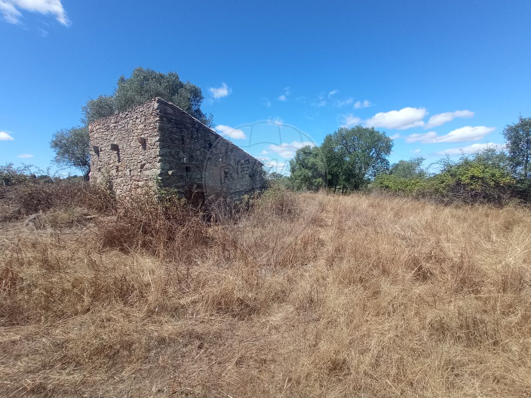 Terreno  para venda