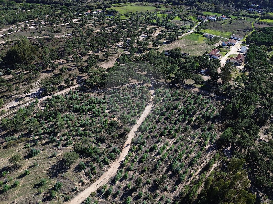 Quinta T3 à venda em Ponte de Sor
