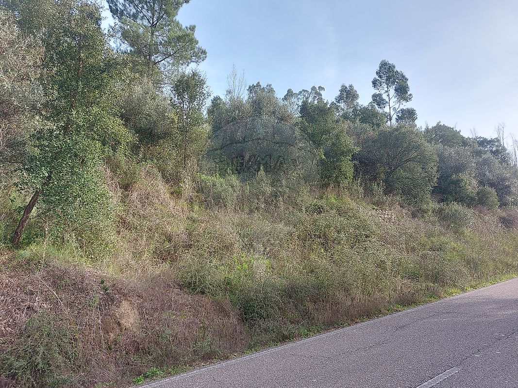 Terreno para venda