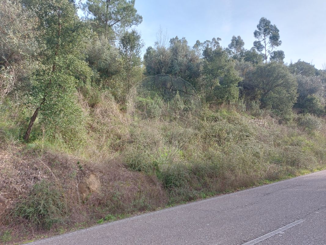 Terreno para venda