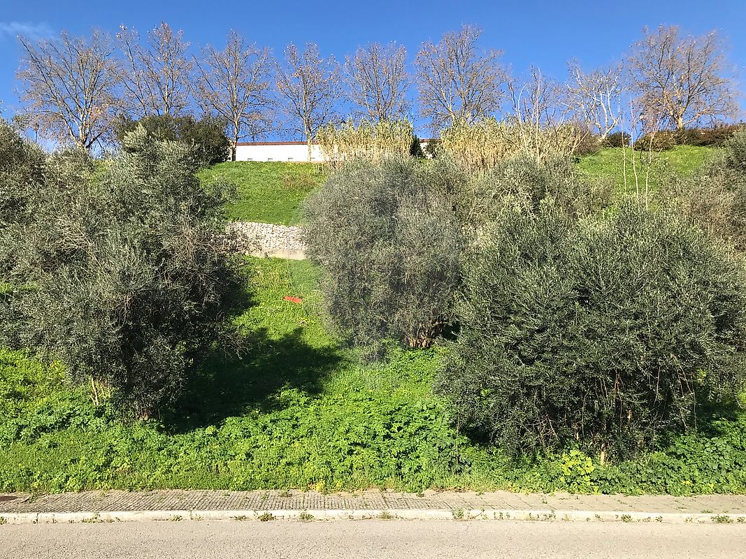 Terreno - Abrantes (São Vicente e São João) e Alferrarede, Abrantes, Santarém