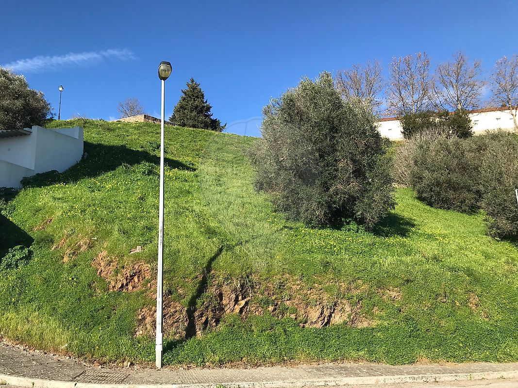 Terreno à venda em Abrantes