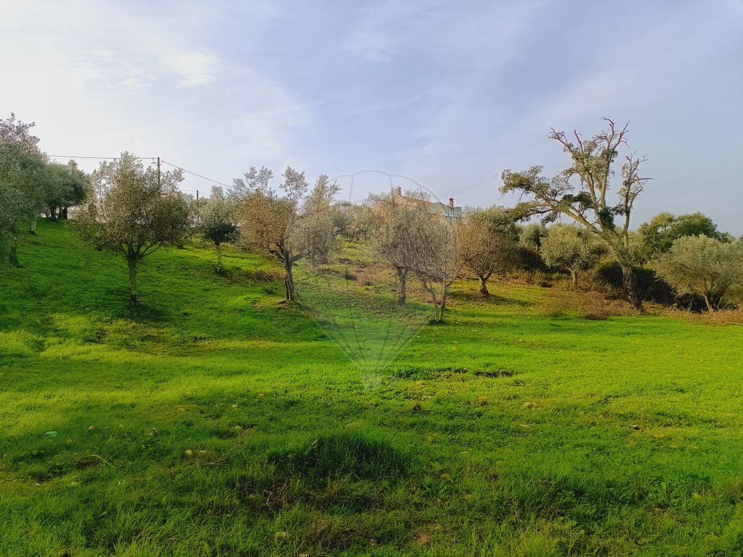 Terreno para venda