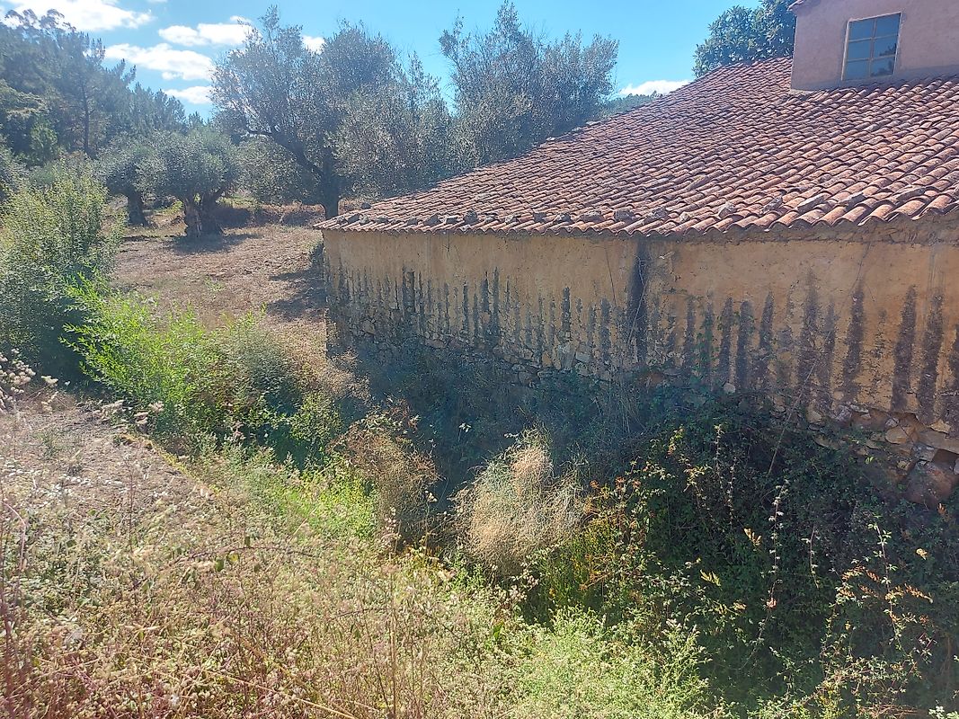 Moradia T4 à venda em Mação, Penhascoso e Aboboreira, Mação — foto 13