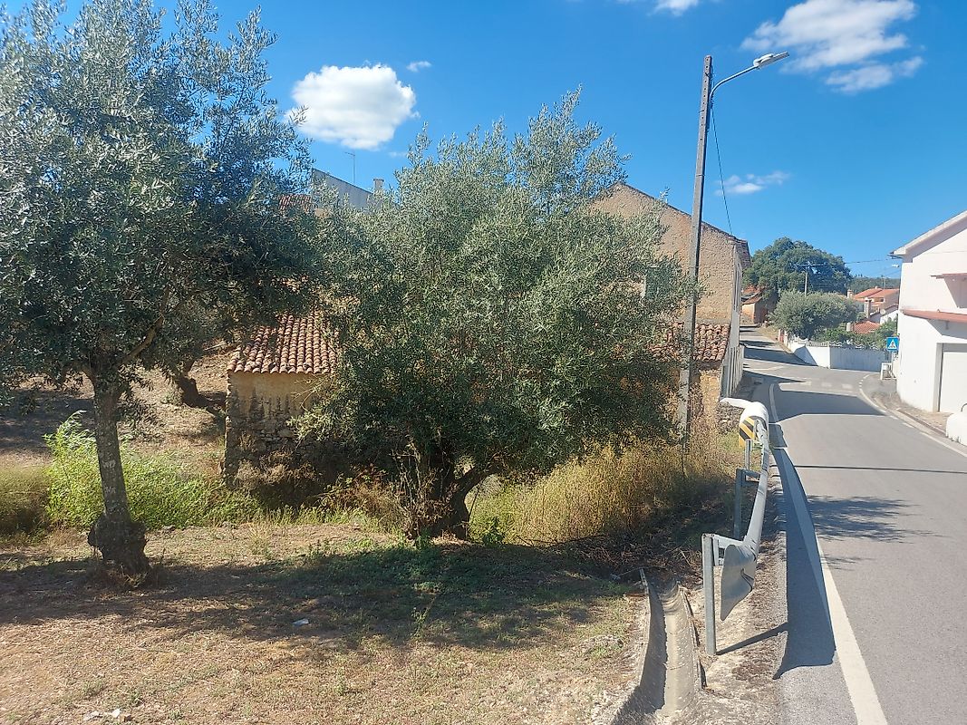 Moradia T4 à venda em Mação, Penhascoso e Aboboreira, Mação — foto 9