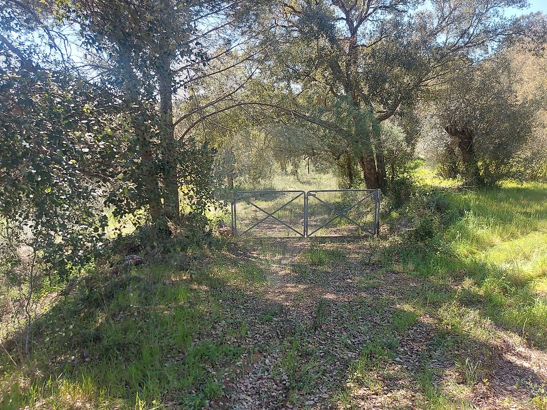 Terreno à venda em Abrantes