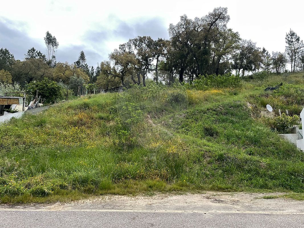 Terreno - Bemposta, Abrantes, Santarém