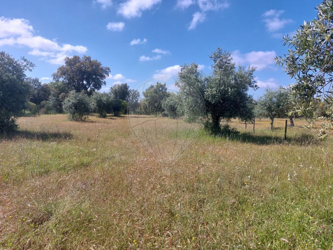 Terreno para venda