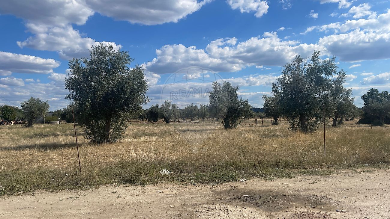 Terreno  para venda