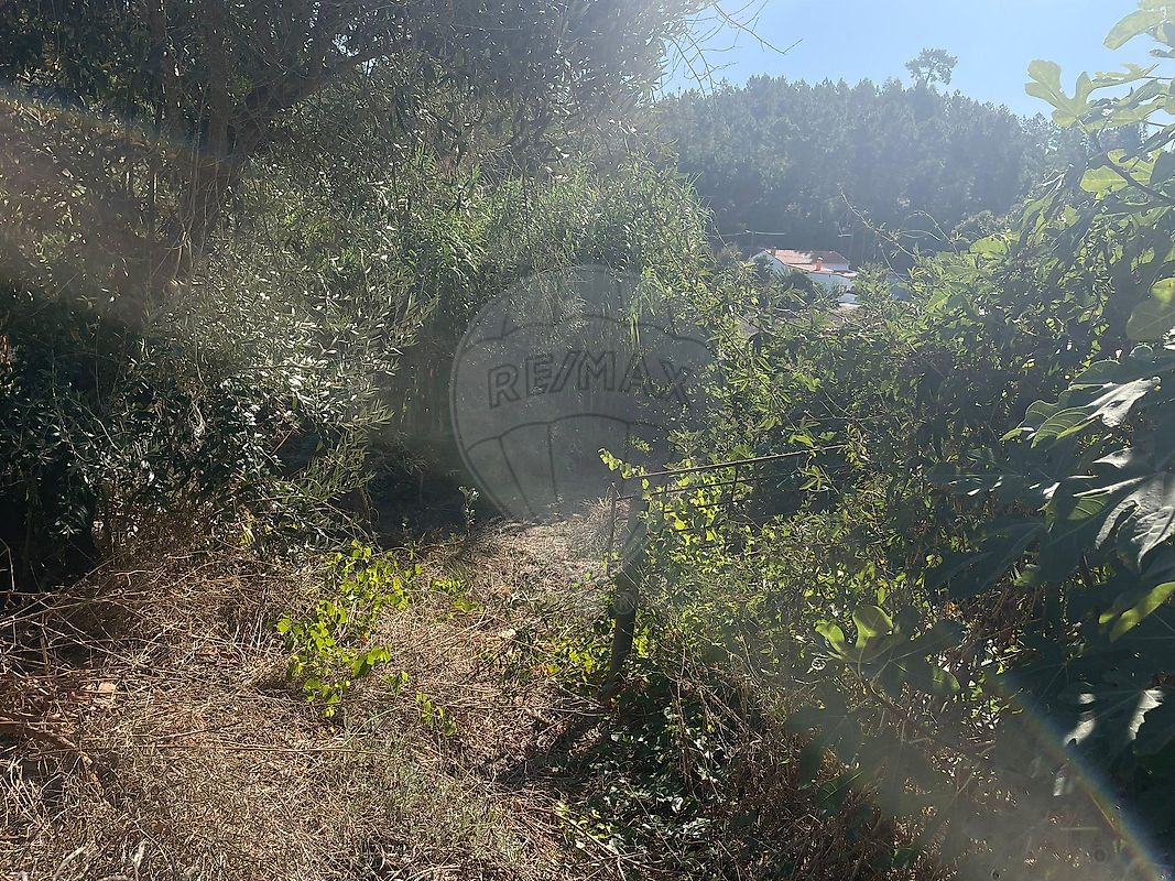 Moradia T3 à venda em Bemposta, Abrantes — foto 34