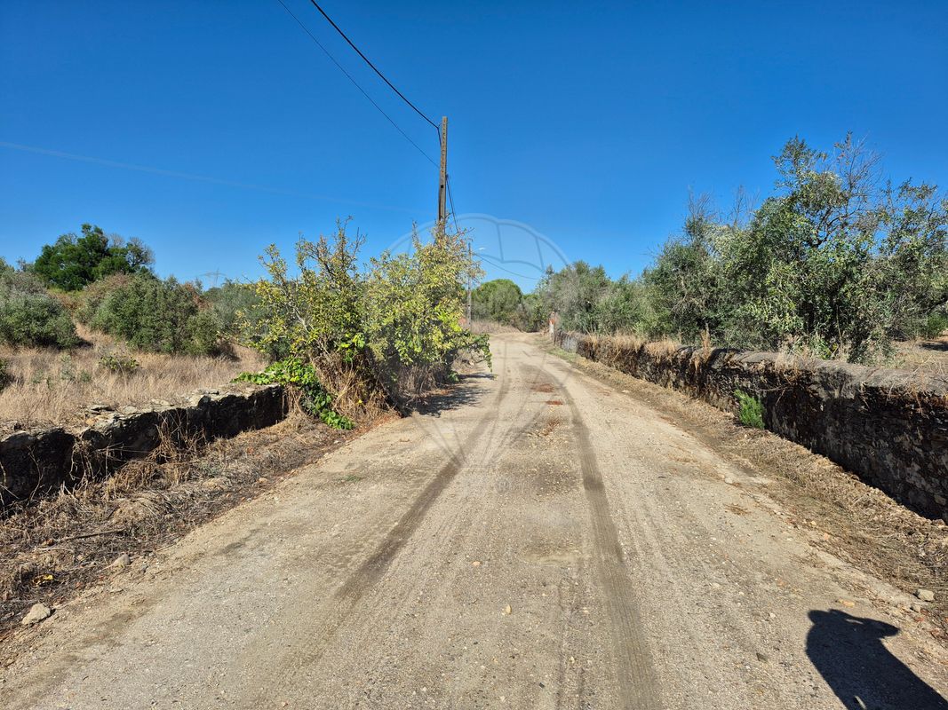 Terreno  para venda