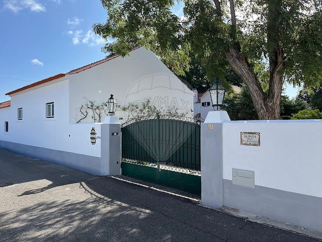 Quinta - Pego, Abrantes, Santarém