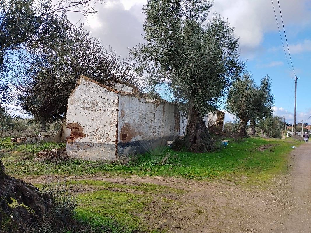 Quinta - Casa Branca, Sousel, Portalegre