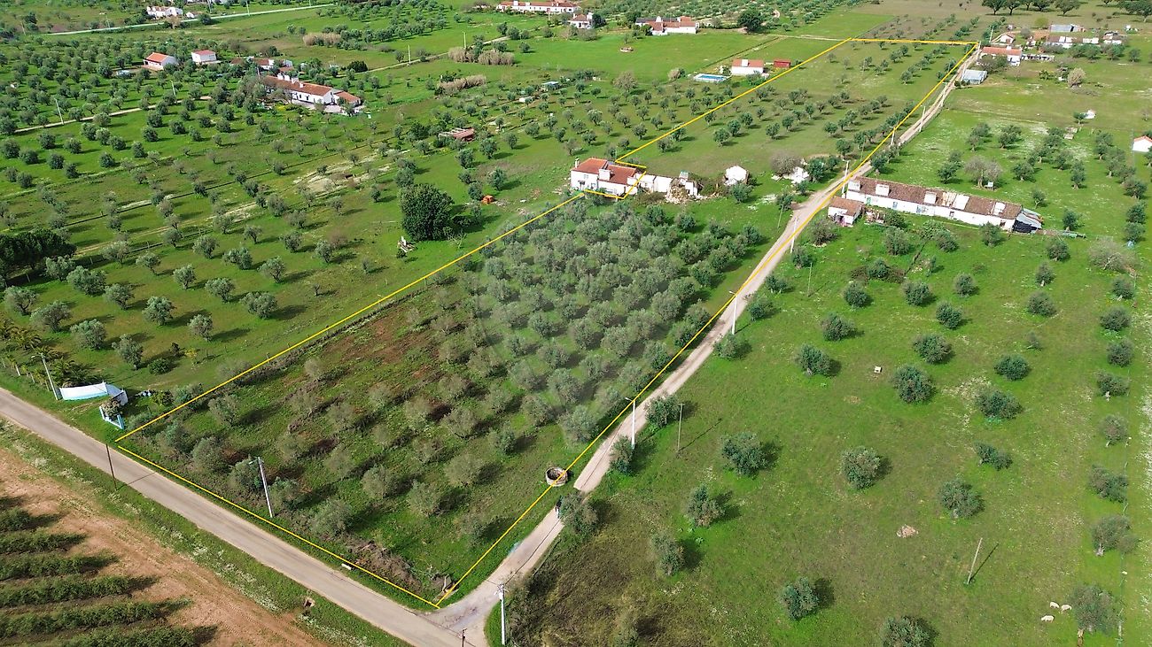 Quinta - Casa Branca, Sousel, Portalegre