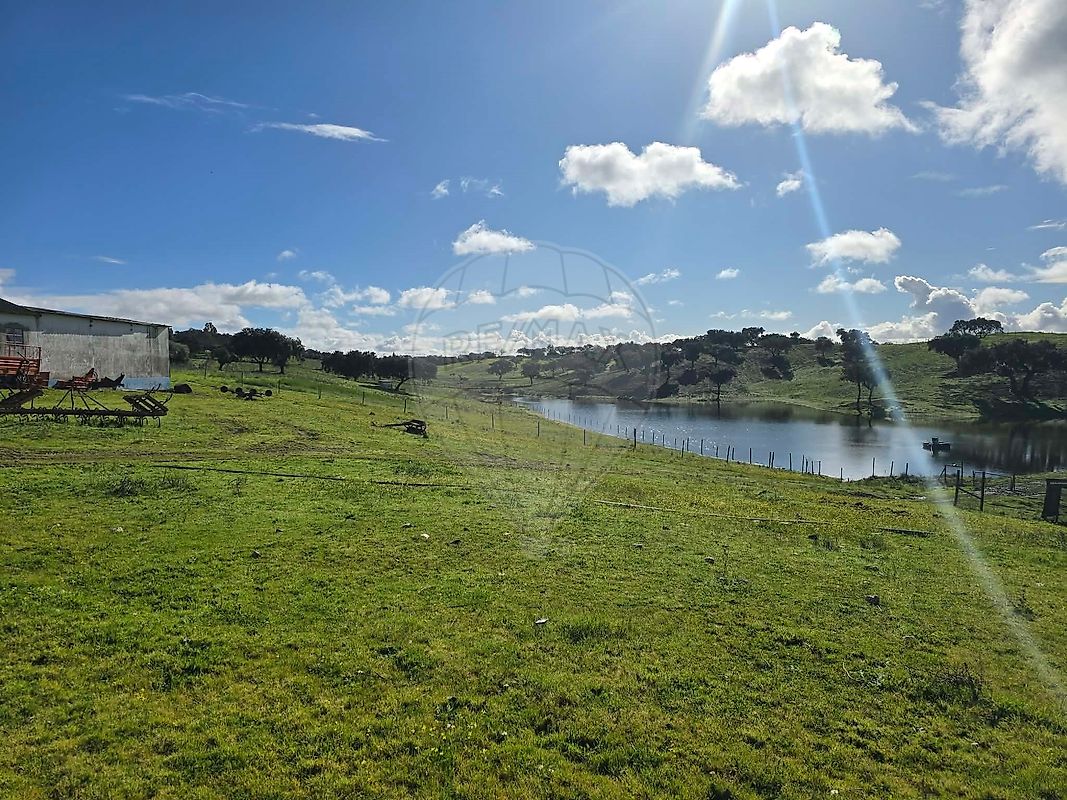 Quinta - Alcórrego e Maranhão, Avis, Portalegre