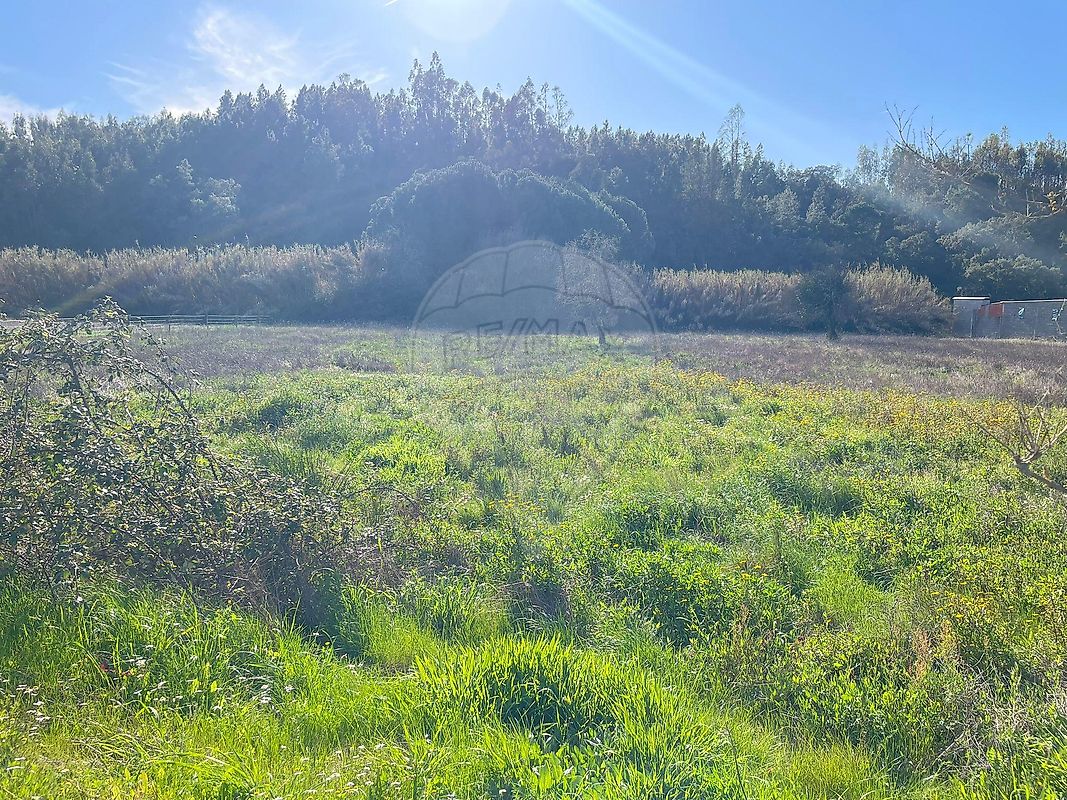 Moradia T4 à venda em Bemposta, Abrantes — foto 40