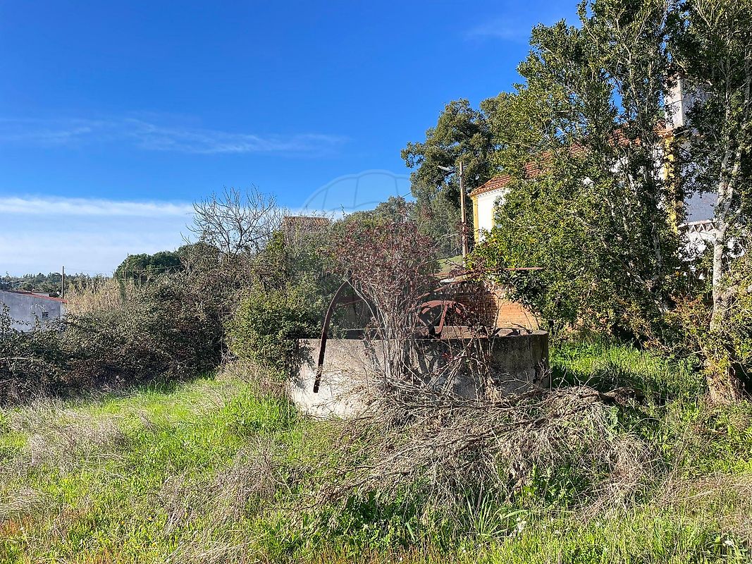 Moradia T4 à venda em Bemposta, Abrantes — foto 39